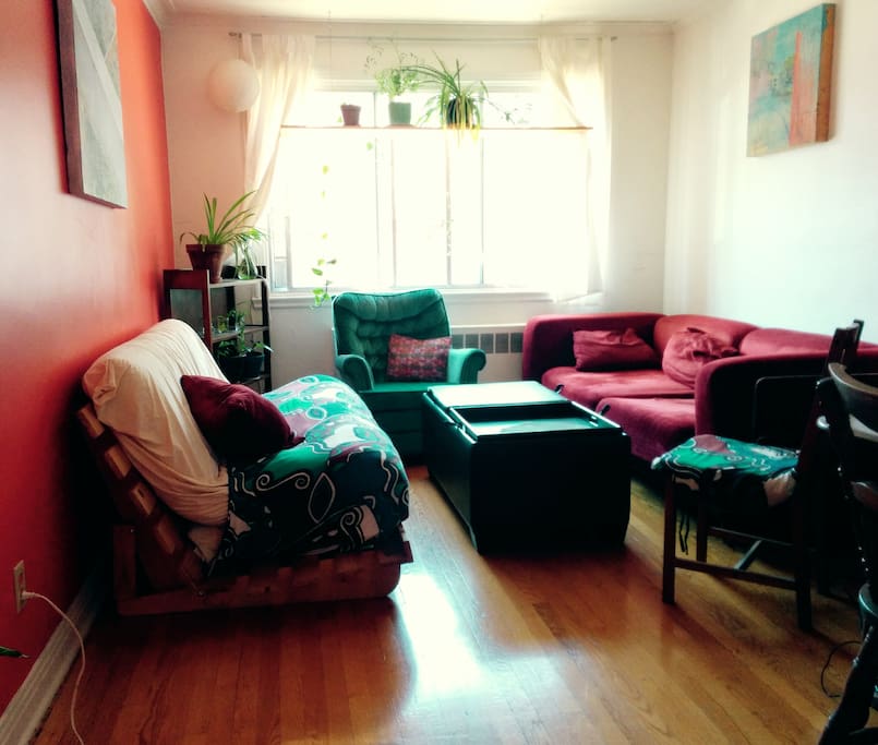 Artsy living room with lots of plants