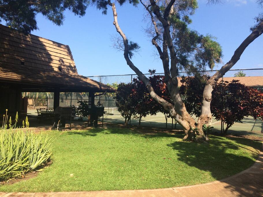 Club house area and office.