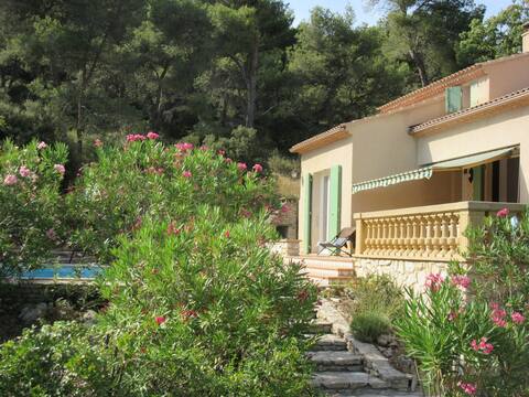 A Provencal villa in the Alpilles