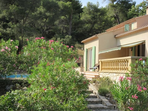 A Provencal villa in the Alpilles