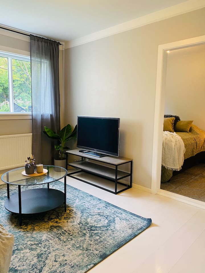 Top 10 LongTerm Rentals In Reykjavík, Iceland Updated 2024 Trip101