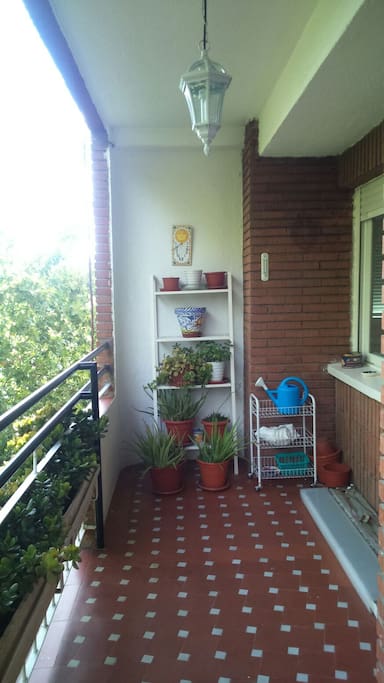 Terraza