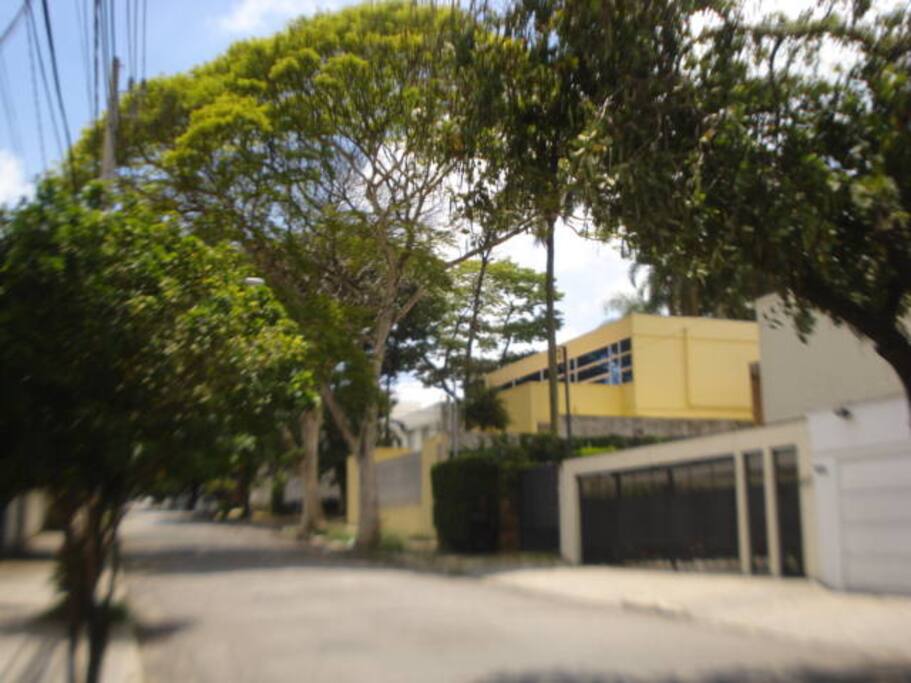 vista da rua gaivota