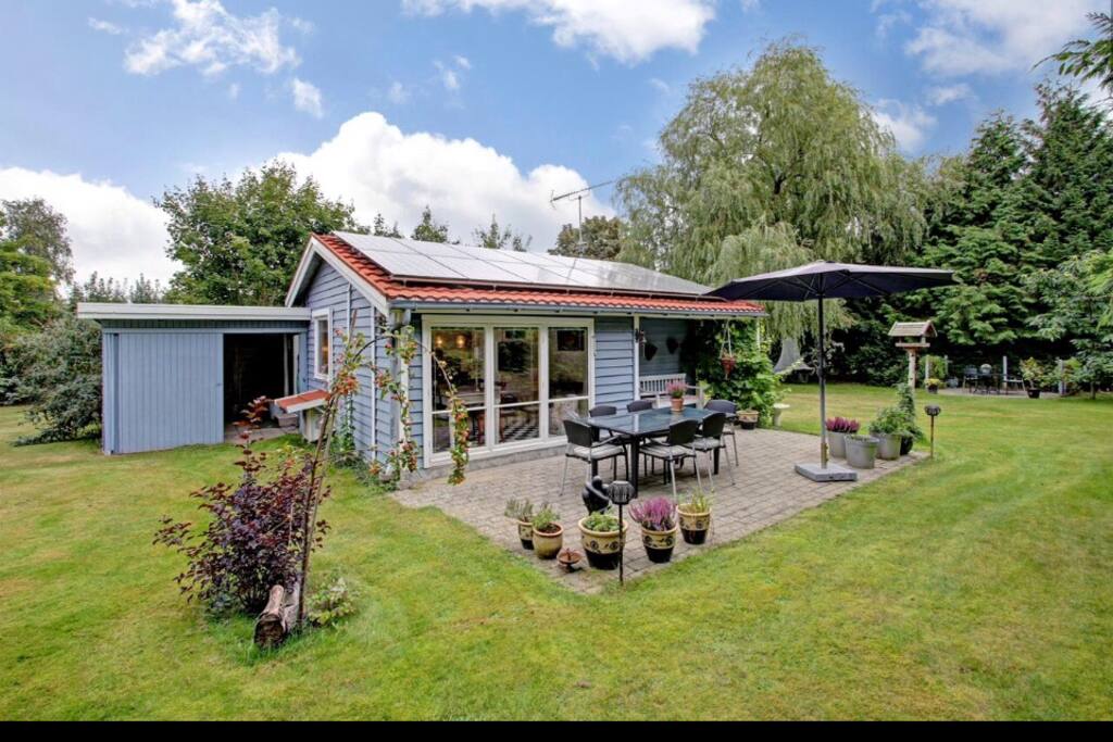 The sunny terrace.