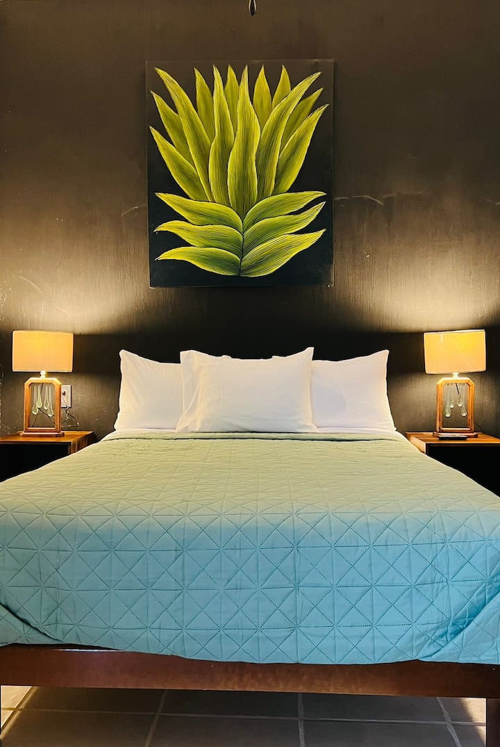 Tequila Alojamientos vacacionales México Airbnb