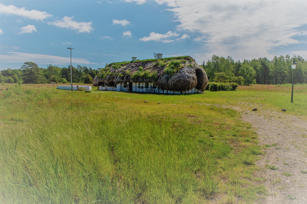 A traditional thatched house is set on a large grassland, featuring a distinctive roof made of seaweed. Surrounding vegetation includes sparse trees and shrubs, contributing to the serene, natural landscape. The building is positioned towards the horizon under a clear sky, with a hint of sunlight illuminating the scene.