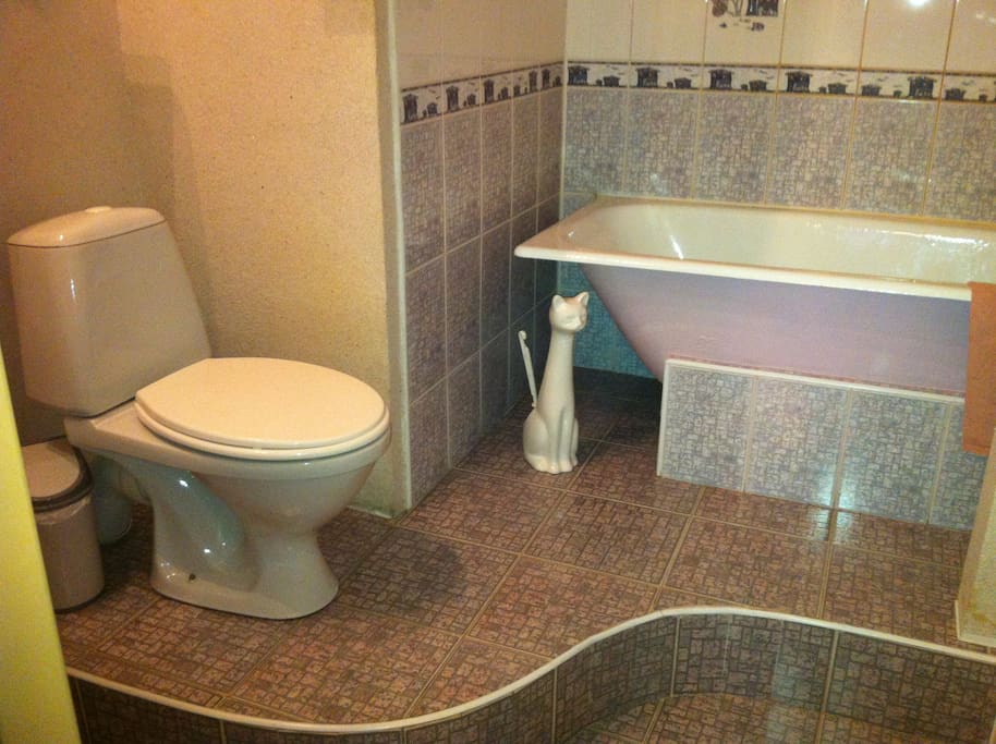 the bathroom