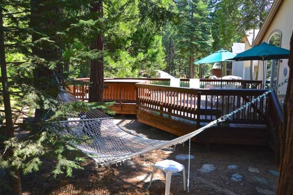 Shady hammock