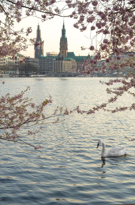 close to the Alster