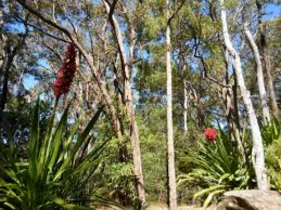 National Park 15 min walking Distance