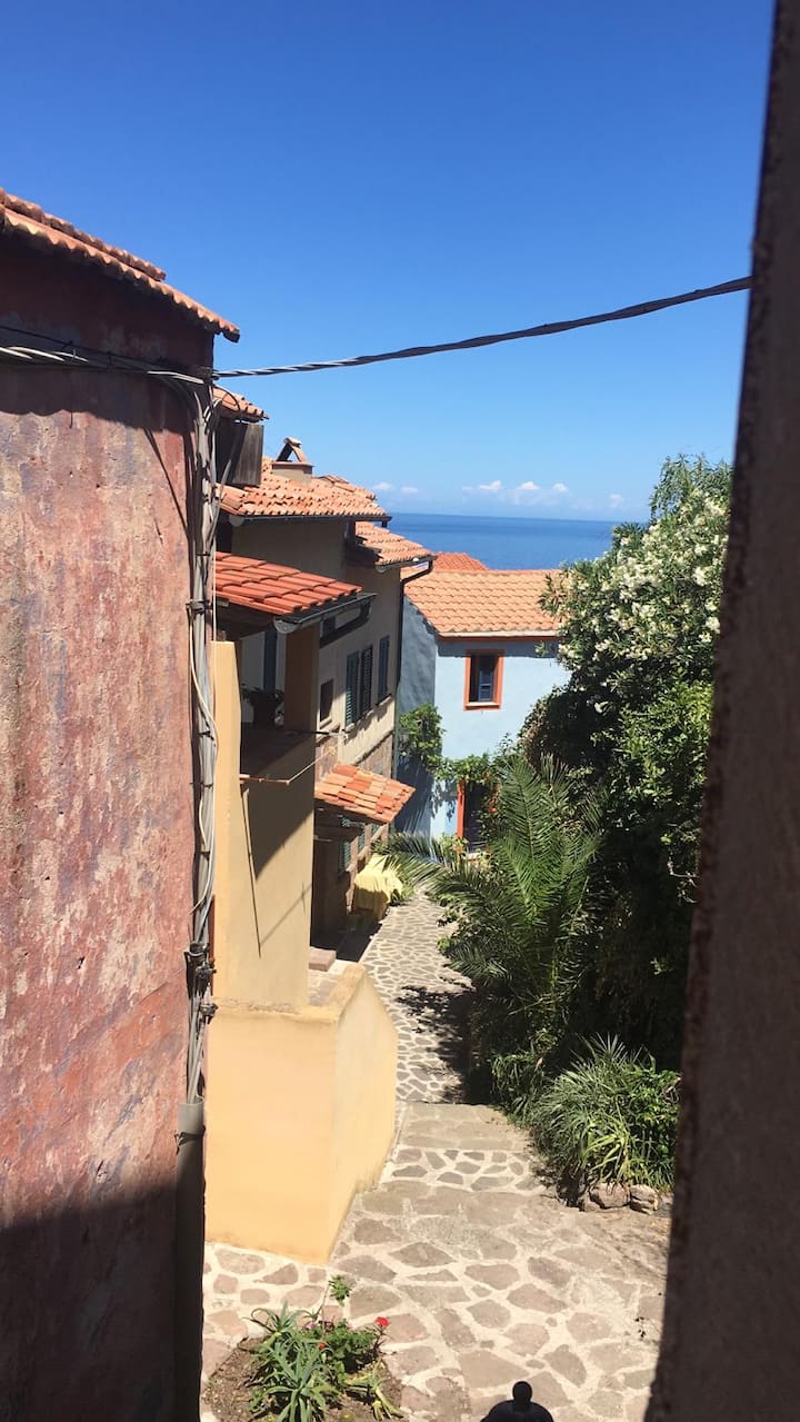 Apartment By The Old Castle - Capraia Isola