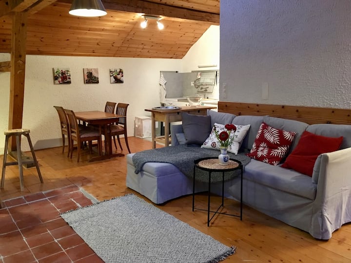 Cosy apartment with a view on the Dents-du-Midi