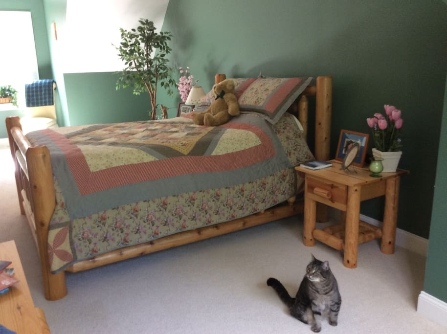 Kitty not included!
