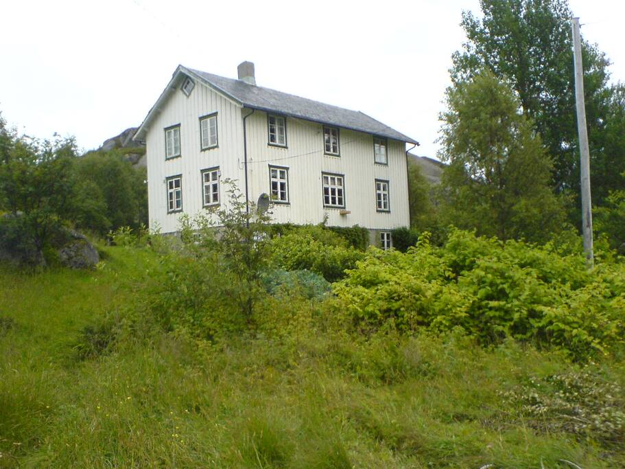 Hopsveien 41