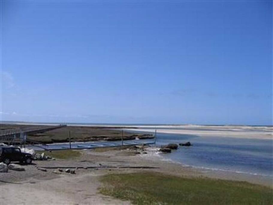 Gray's Beach