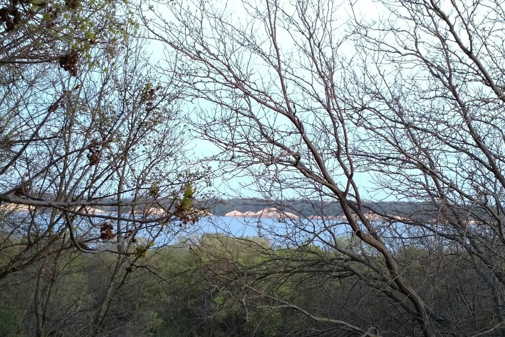 Springtime view from deck