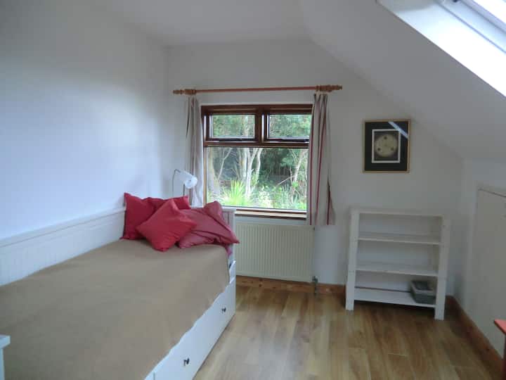 Ორადგილიანი საძინებელი გასაშლელი დივნით