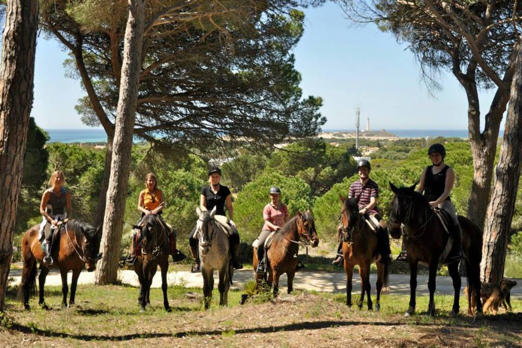 excursion en la breña