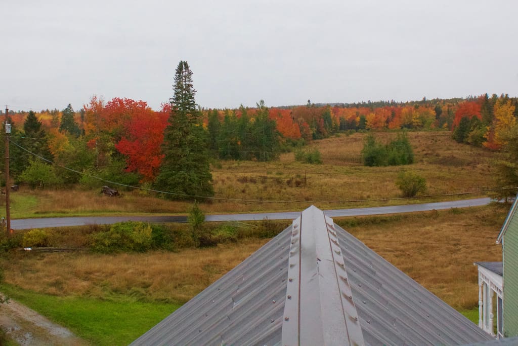 View from the garage cupola of autumn colors.