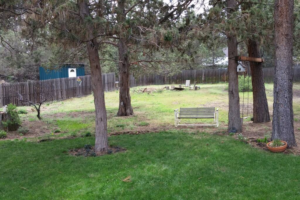 Large back yard with fire pit