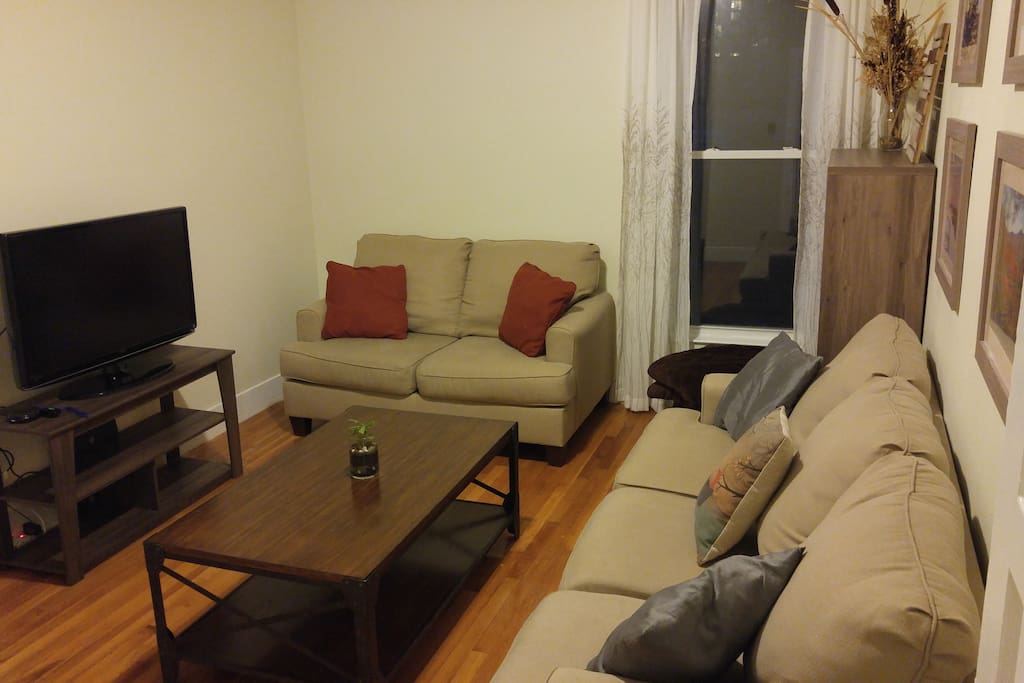 Relaxing living room to come home to after a day in Boston. Wifi and a Roku (Netflix and Amazon)