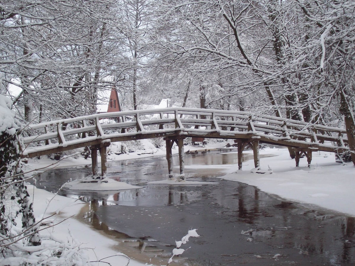 A wooden bridge spans across a snowy river, surrounded by trees blanketed in white snow. The still water reflects the delicate winter scenery, while a soft layer of snow covers the land, creating a serene and tranquil winter landscape.