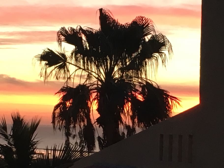 Sunrise