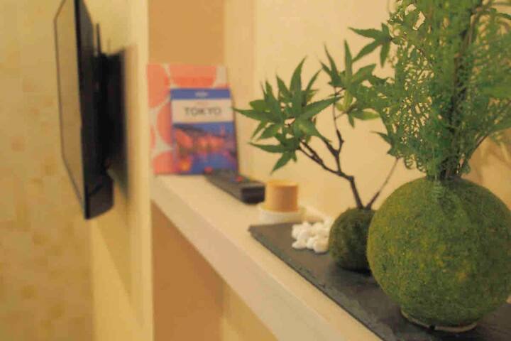 Asakusa Gem – Entire Japanese Home Near Sensoji gallery image 3