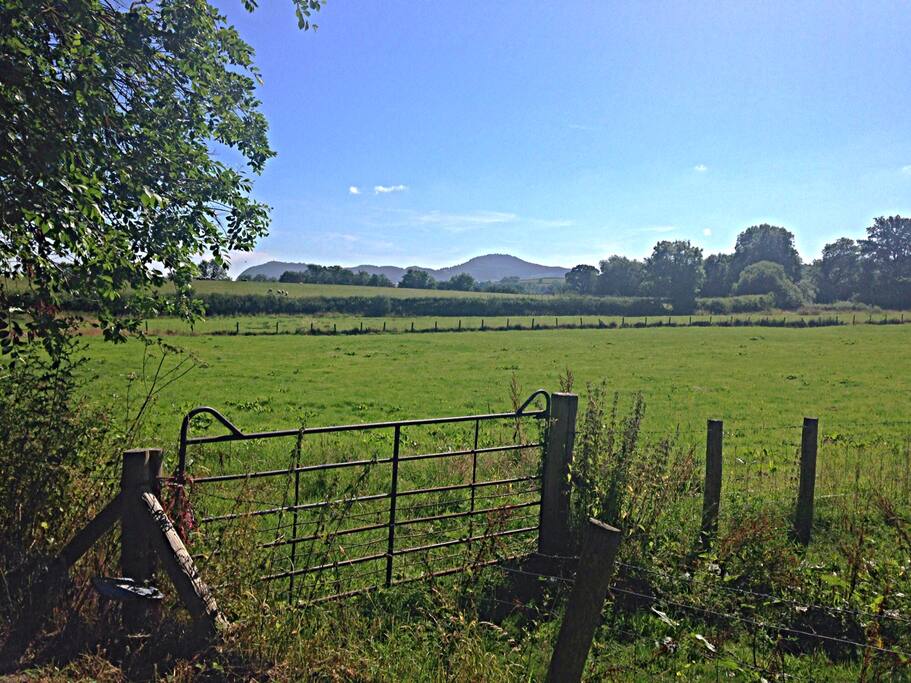 View across our hay fields to the Severn Valley.