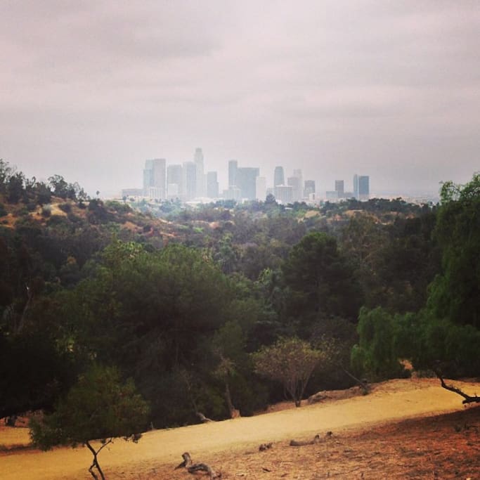 Photo of Elysian Park Trail