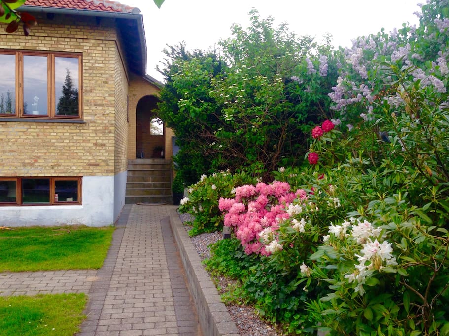 Entrance to our house