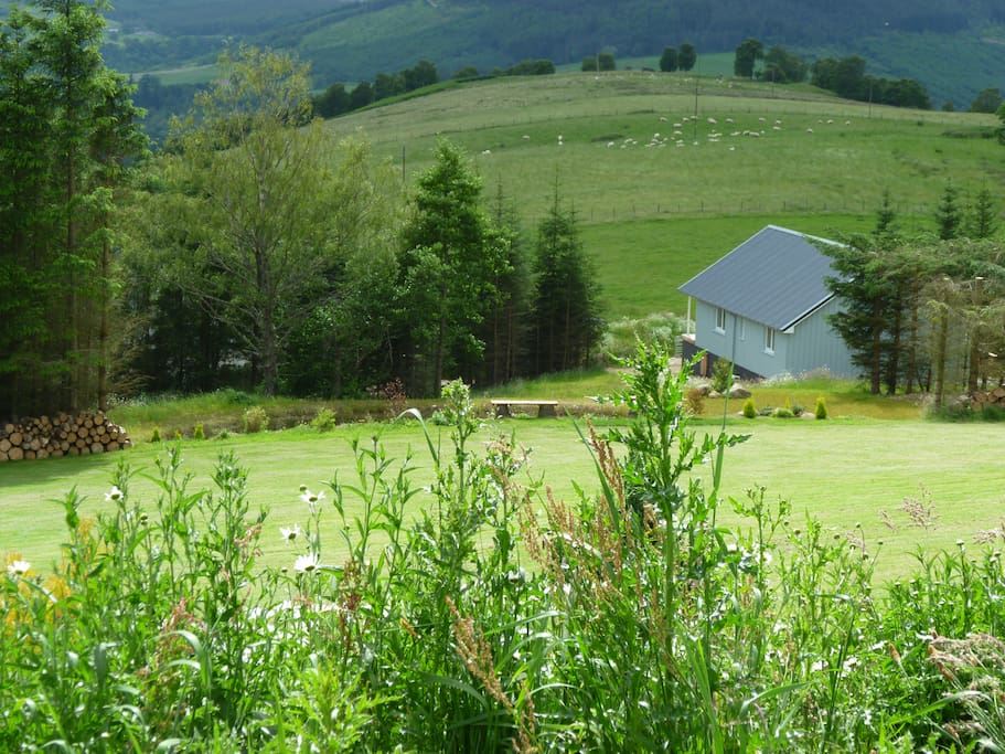 Property viewed from garden