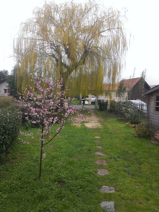 L'entrée du jardin au printemps