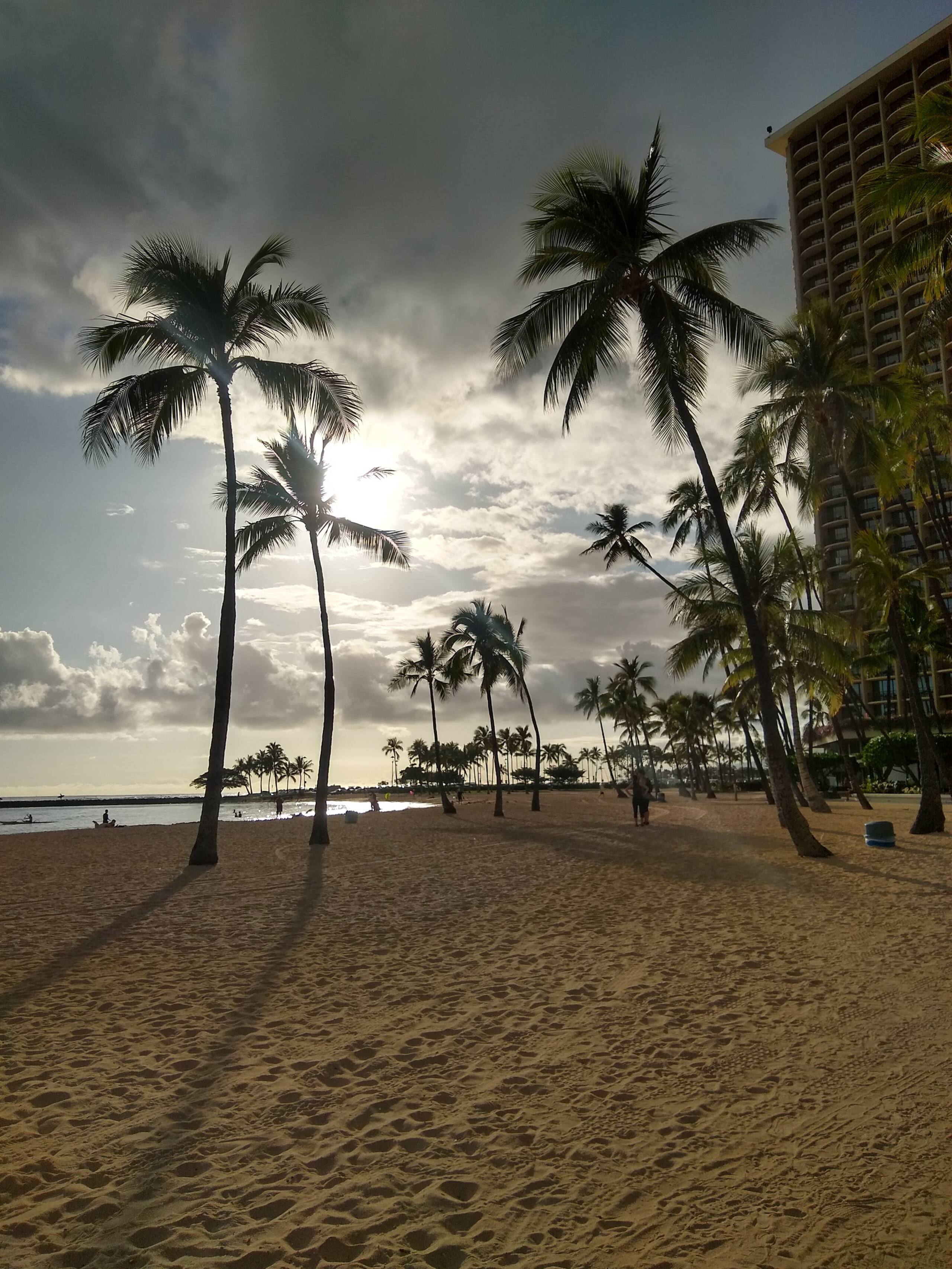 Rainbows in Waikiki - Image 22