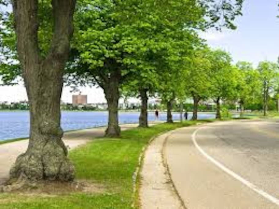 Beautiful Baxters Blvd