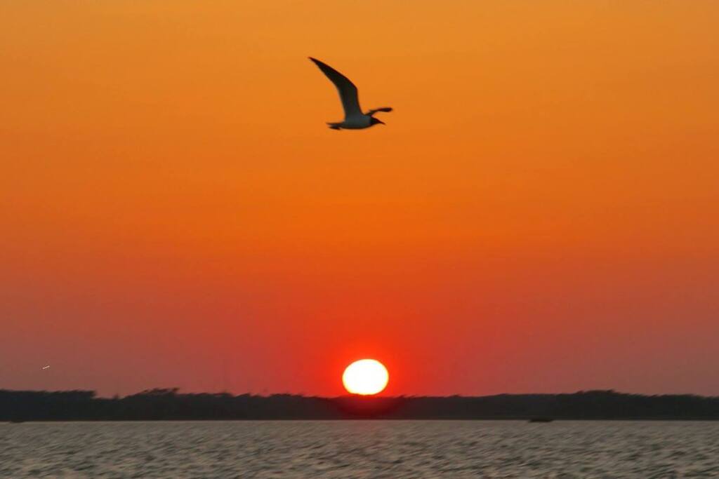 The best sunsets in Va. Beach