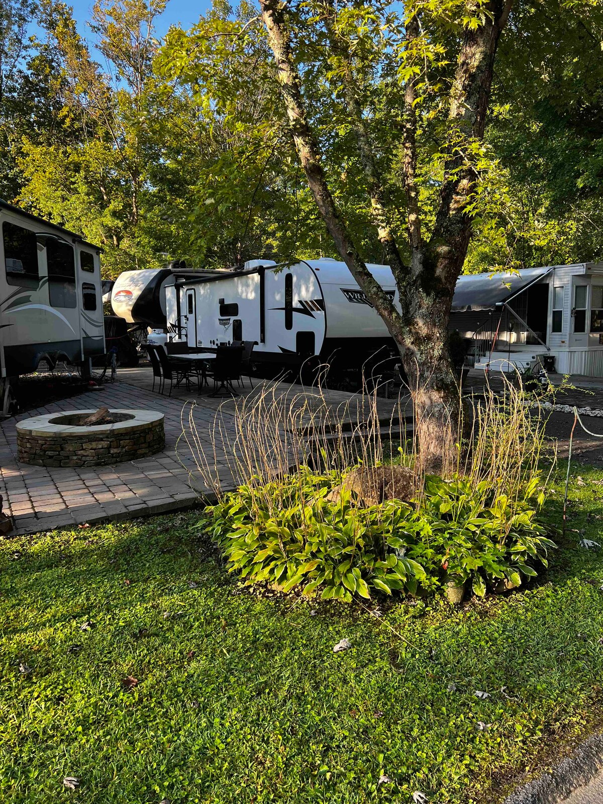 A cozy camper is situated in a lush campground, surrounded by greenery. A stone fire pit is placed on a patio area, accompanied by outdoor dining furniture. Tall trees provide shade, enhancing the serene setting while colorful plants add to the natural beauty.