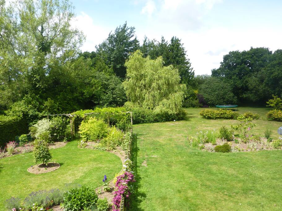 View from Magnolia Room