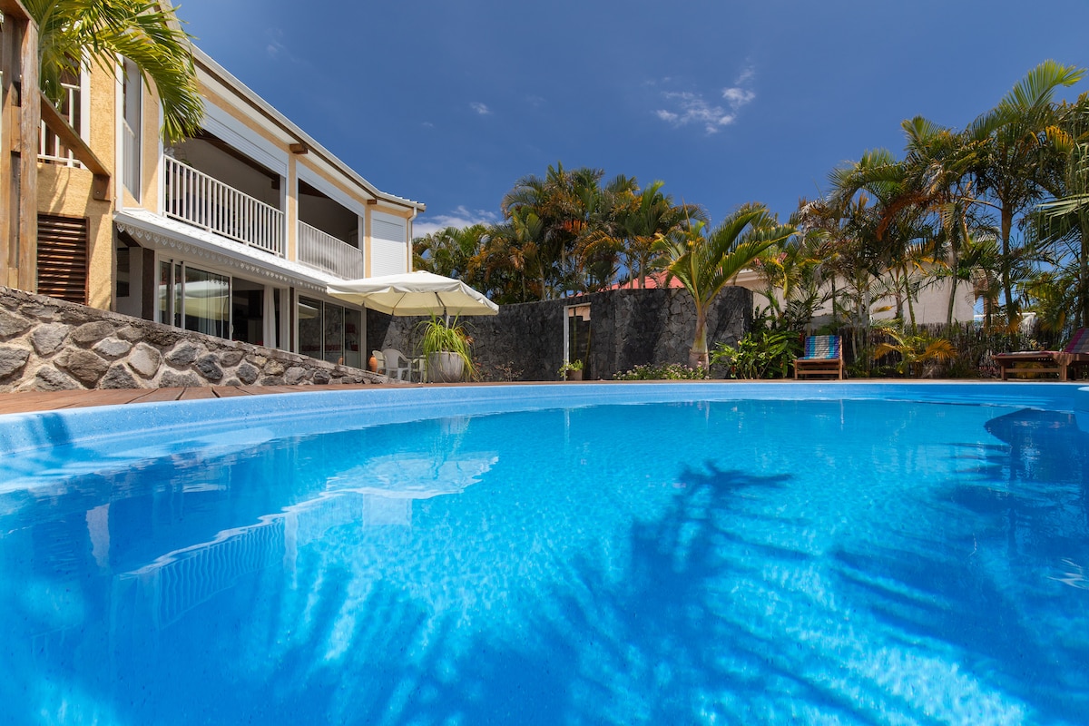 A sparkling turquoise pool reflects the clear blue sky and surrounding palm trees. The modern villa is visible in the background, showcasing large windows and a shaded patio area. Lush greenery enhances the tranquil outdoor space.