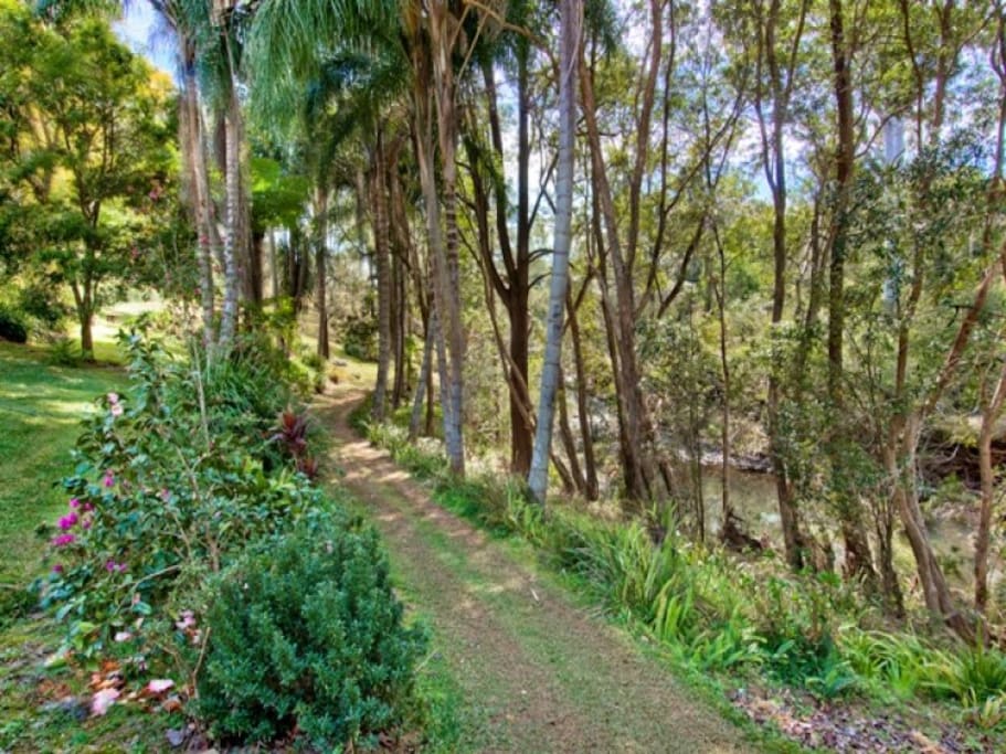 Stroll along the river and appreciate the local flora and fauna.