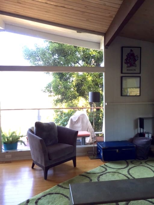 Living room gets great light