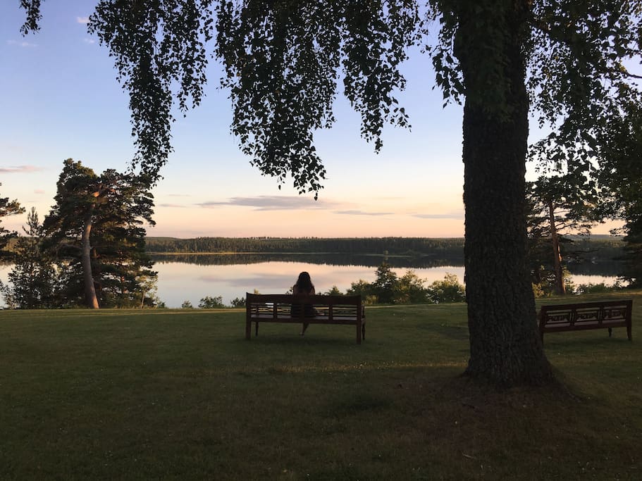 Benches with a view