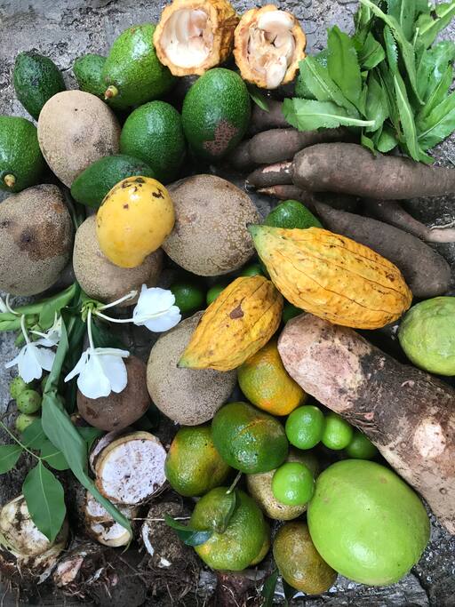 Some of the fruits and vegetables in our garden
