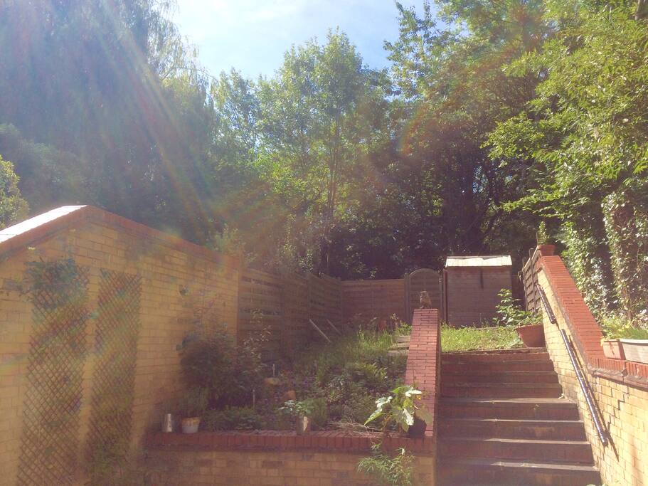 Sunny green garden