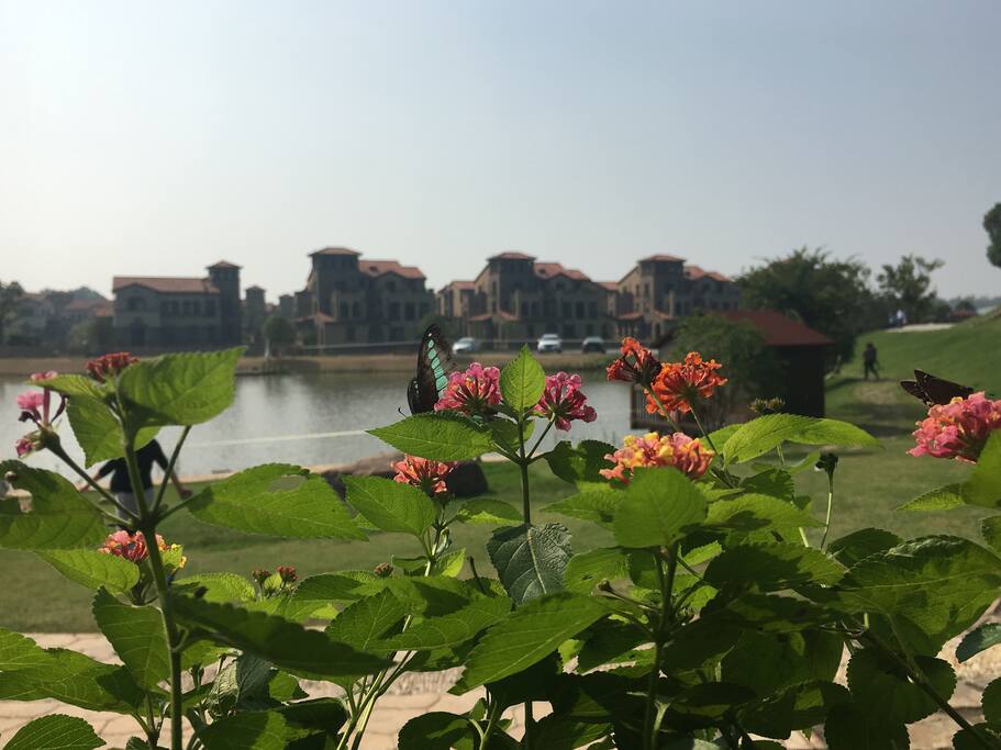 房屋后的修心谷