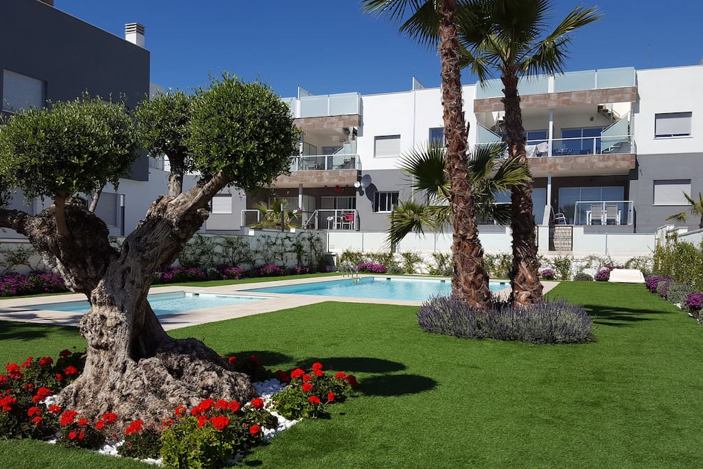 Belle piscine communautaire avec de beaux espaces verts