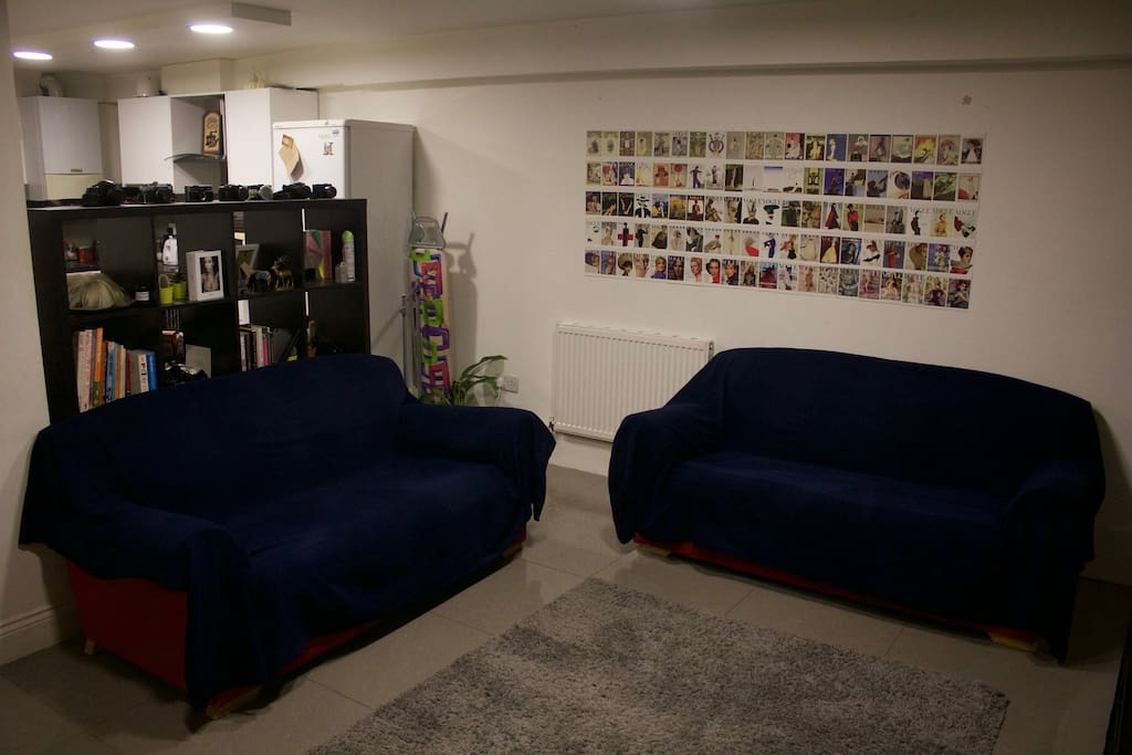 Two comfy couches.