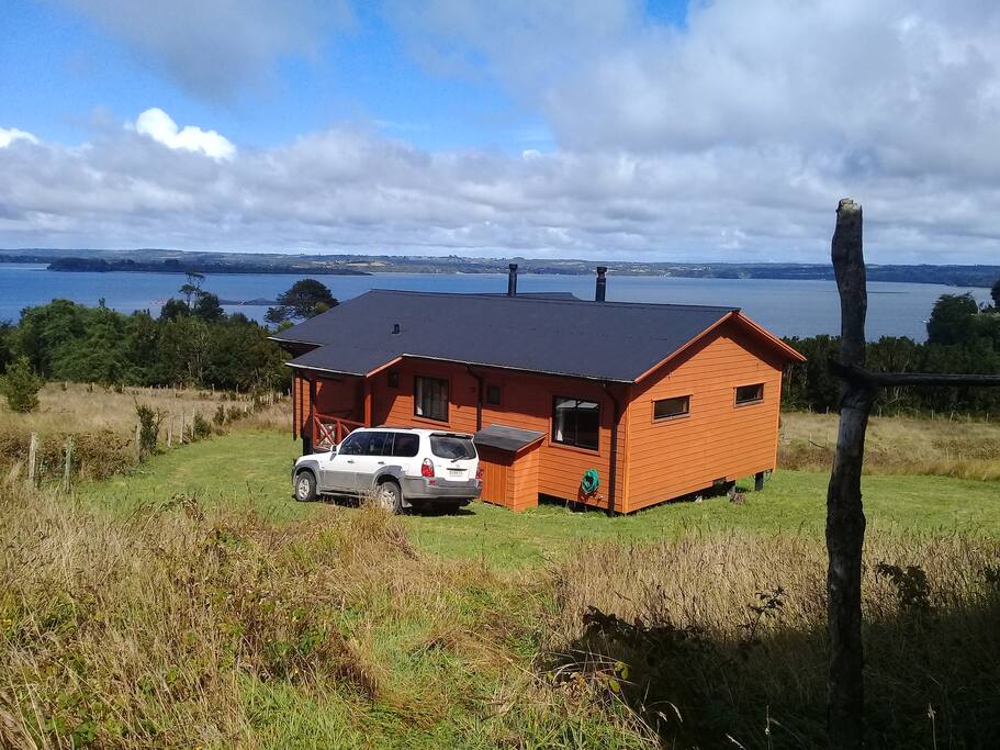 Desde el bosque