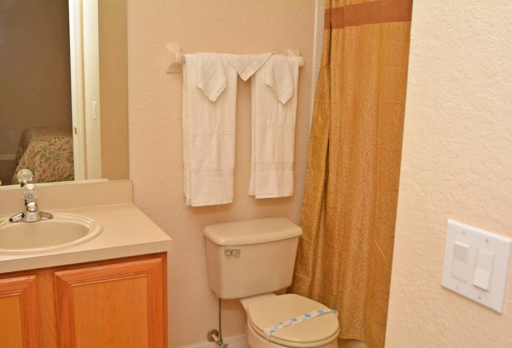 Toilet,Couch,Furniture,Bathroom,Indoors