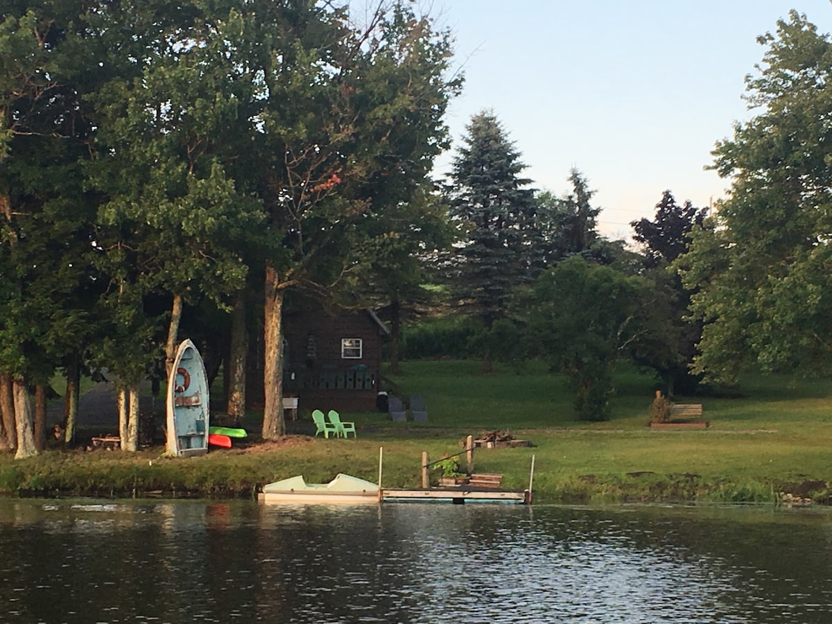 A serene lakeside view reveals a grassy area with trees providing gentle shade. A dock is visible in the foreground, along with outdoor seating and kayaks resting beside a charming cabin nestled among the trees.